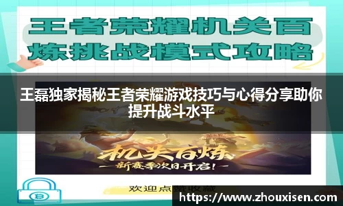 王磊独家揭秘王者荣耀游戏技巧与心得分享助你提升战斗水平