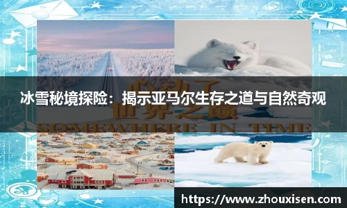 冰雪秘境探险：揭示亚马尔生存之道与自然奇观