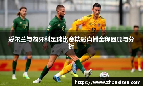 爱尔兰与匈牙利足球比赛精彩直播全程回顾与分析
